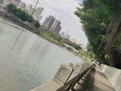 -光明港公园