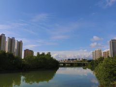 -金鸡岭桥头公园