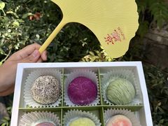 -好一朵茉莉花(老门东店)