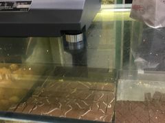 -上海哈尔滨食品厂(淮海中路店)