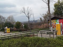 -洋湖国家湿地公园