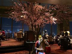-金轩中餐厅 Jin Xuan(浦东丽思卡尔顿酒店)