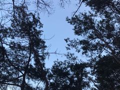 -崂山九水游览区