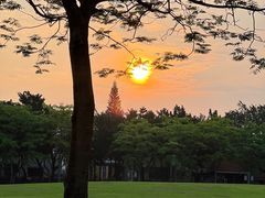 -顺峰山公园