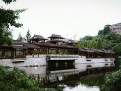 -重庆彩云湖湿地公园