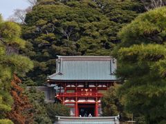 -鹤冈八幡宫