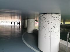 -深圳湾公园(南山区)