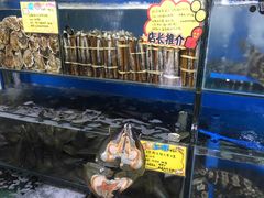 -蚝专家(北滘店)