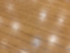 -饭怕鱼(阳光100店)