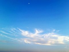 -如意香辣鸡架(总店)