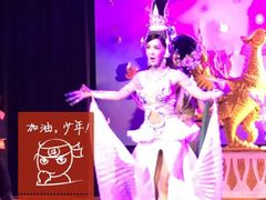 -金东尼人妖秀