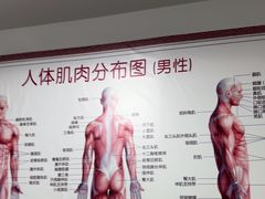 -龙脊堂龙氏推拿 整脊(陆家浜店)