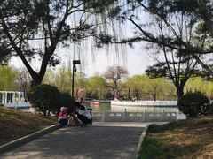 -丰台花园