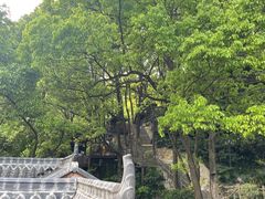 -巴倒烫陆派重庆火锅(南山店)