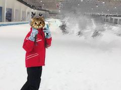 -绍兴启迪乔波冰雪世界