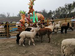-黄龙溪欢乐田园