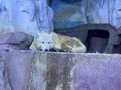 -多彩贵州城极地海洋世界