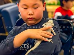 -FAIRYLAND龙族星球主题餐厅(凯丹广场店)