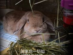 -邦泰·异宠动物医院