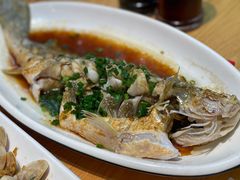 -金海湾海鲜排档(朱家尖店)