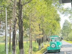 -黑龙江扎龙生态旅游区