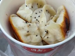 鲜肉锅贴-汪记大王锅贴(金钟路店)