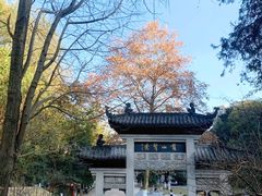 -黔灵山公园