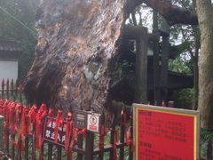 -台州府城(江南长城)