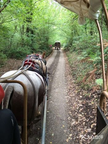 小镇特色 是有一大片保存完好的原始森林