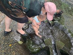 -成都市活水公园
