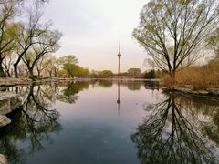 -中央广播电视塔