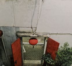 -BELLAREAL新美社
