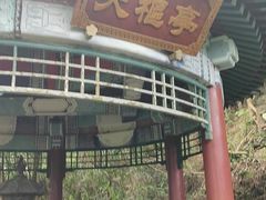 -海南文笔峰盘古文化旅游区