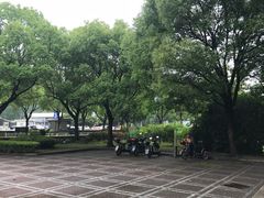 -上海市公安局交通警察总队车辆管理所三分所