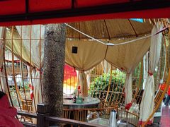 -二荆条·蜀鲜汇城市森林火锅