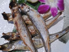 -酒井酱子·深夜食堂(东城汇店)