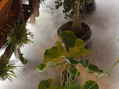 -三只耳火锅(宽窄巷子店)