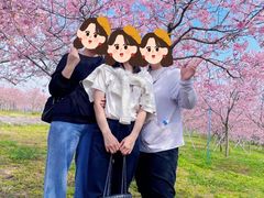 -天适樱花悠乐园
