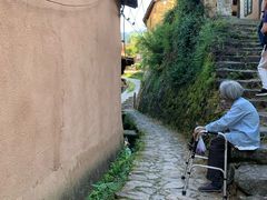 -杨家堂村