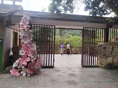 -桃花涧