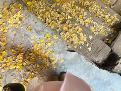 -金堂县云顶石城风景区