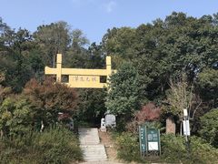 -老山国家森林公园