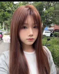 -YESIDO椰岛造型