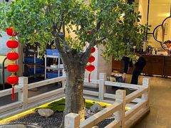 -三凤酒家·百年无锡菜(清扬茂业店)
