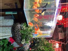 -老宅子私房菜馆(大理古城店)