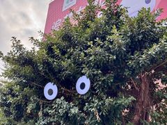 -VT101维多利广场