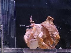 -重庆欢乐海底世界