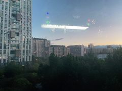 -喵百万·布偶·蓝金金渐层英短·猫舍(百子湾店)