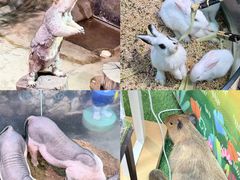 -正佳雨林生态植物园