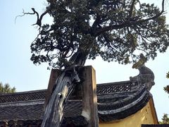 -太平天国侍王府